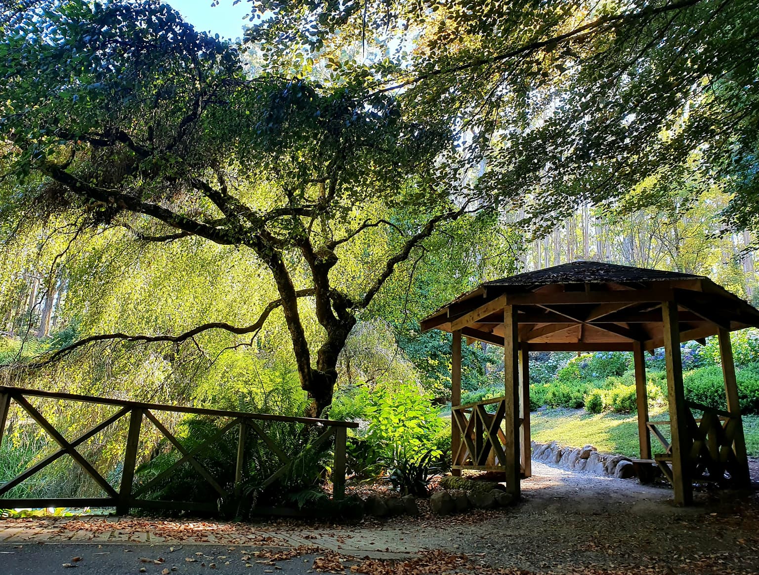 The Summer House